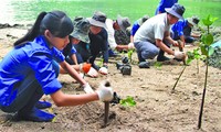 Unión Europea y Vietnam intercambian experiencias en respuesta al cambio climático 