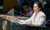 Vietnam afirma compromiso en el programa de desarrollo sostenible 2030 