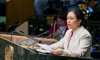 Comprometido Vietnam en trabajar para la abolición total de las armas