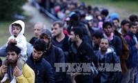 Exhorta Vietnam a comunidad internacional una gestión migratoria más eficiente