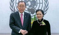 Vietnam es elegido miembro del Consejo Económico y Social de la ONU 2016-2018