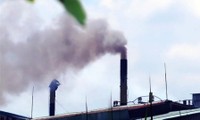 Vietnam está preparando la creación del mercado de carbono