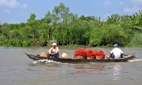 Delta del Mekong listo para integración nacional a TPP 