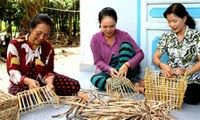 Promueven papel de mujeres en la renovación rural de Phong Dien