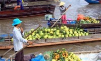 Inaugurada Semana Cultural y Turística de Delta del río Mekong en Hanoi