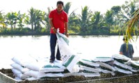 Ha Tan Tam, agricultor participa activamente en ayuda humanitaria