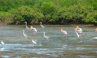 Estados Unidos y socios cooperan en construcción de museo en región del río Mekong 