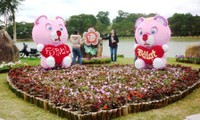 Festival de Flores de Da Lat de 2015 se centrará en factores artísticos