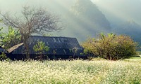 Un día en la tierra alta de Moc Chau