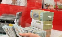 Crecen subsidios de las organizaciones no gubernamentales para Vietnam en 2015