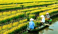 El pueblo de flores de Sa Dec por recibir gran número de turistas en Nuevo Año Lunar