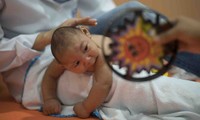 Comunidad internacional fortalece lucha contra la expansión de virus zika