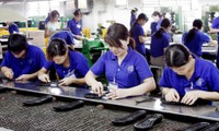 Sector del calzado de Vietnam se prepara para potenciar oportunidades del TPP