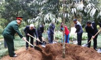 Dirigente partidista rinde homenaje al Presidente Ho Chi Minh en zona de reliquia 