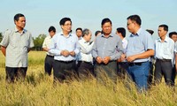 Delta del río Mekong en batalla contra sequía y salinización del suelo