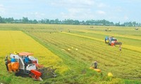 Garantizar la calidad de la marca y de los productos agrícolas nacionales