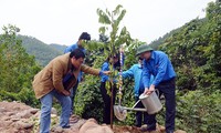 Jóvenes voluntarios de Quang Ninh por la prosperidad de la provincia