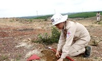 Vietnam se esfuerza por mitigar secuelas de bombas y minas remanentes 