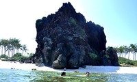 Increíble patrimonio geológico en la isla de Ly Son