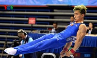 Trece deportistas vietnamitas participarán en los Juegos Olímpicos 2016