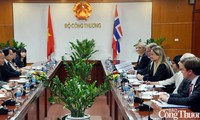 Celebran VIII Consulta Política Vietnam-Noruega