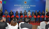 Efectúan diversas actividades para conmemorar 25 aniversario de diálogo Asean-China