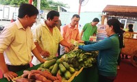 Inauguran Feria de productos vietnamitas de alta calidad Can Tho 2016