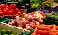 Vietnam y Corea del Sur promueven cooperación en procesamiento de alimentos