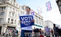 David Cameron urgió a británicos a votar por la permanencia del Reino Unido en la UE