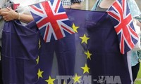 Reino Unido cae en crisis política por “Brexit”