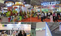 Vietnam celebrará exposición internacional de productos acuíferos