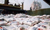 Vietnam busca aumentar exportaciones de arroz de alta calidad hasta 2020