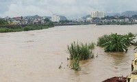 Localidades norteñas superan consecuencias del huracán Dianmu