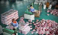 En alza exportaciones surcoreanas a Vietnam