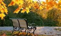 Otoño, estación de evocaciones