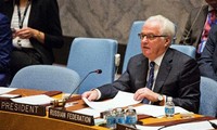 Discrepancias profundas en el Consejo de Seguridad de la ONU sobre la paz en Siria