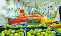 Perspectivas de la exportación de verduras y frutas de Vietnam en la etapa de integración