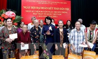 Vicepresidenta asiste al Festival de Unidad Nacional en Hanoi