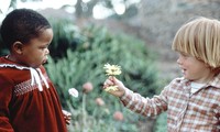 Tolerancia: el regalo más significativo para la humanidad