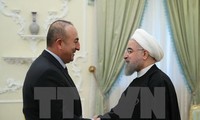 Irán interesado en cooperar con Turquía para la solución de problemas de Siria e Irak