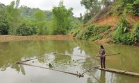 Bac Kan camino a construir nueva ruralidad 