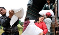 Brindan dos mil toneladas de arroz a provincia central más golpeada por inundaciones