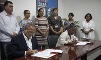 Cuba exportará a Estados Unidos carbón vegetal 