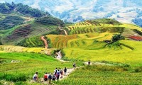 Lao Cai acoge Año Nacional de Turismo 2017 