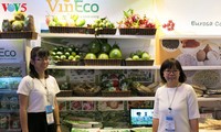 Empresas vietnamitas promueven productos agrícolas en feria Gulfood en Dubai