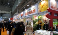 Presentan fruta del dragón con mesocarpio rojo de Vietnam a consumidores japoneses