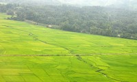 Muong Lo, cuna cultural de los Thai Negro de Yen Bai