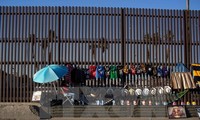 México y Estados Unidos continúan diálogo sobre seguridad fronteriza y migración