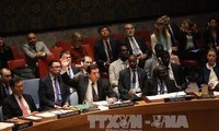 Rusia veta proyecto de resolución sobre Siria en Consejo de Seguridad de la ONU