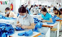 Intensifican protección de derechos de trabajadores vietnamitas en el extranjero